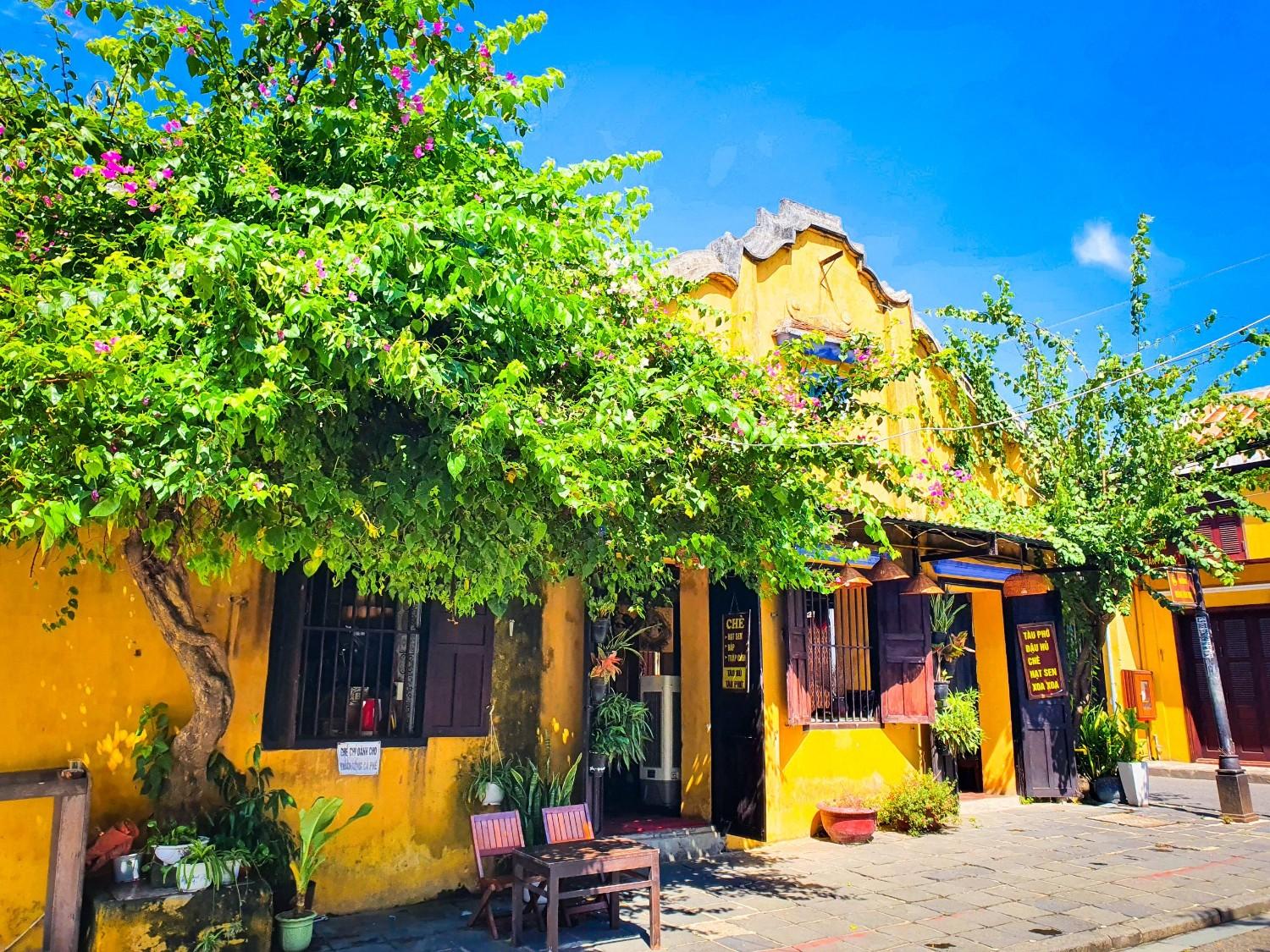 Cam Thanh Coconut Forest – Hoi An Ancient Town Half Day Group tour