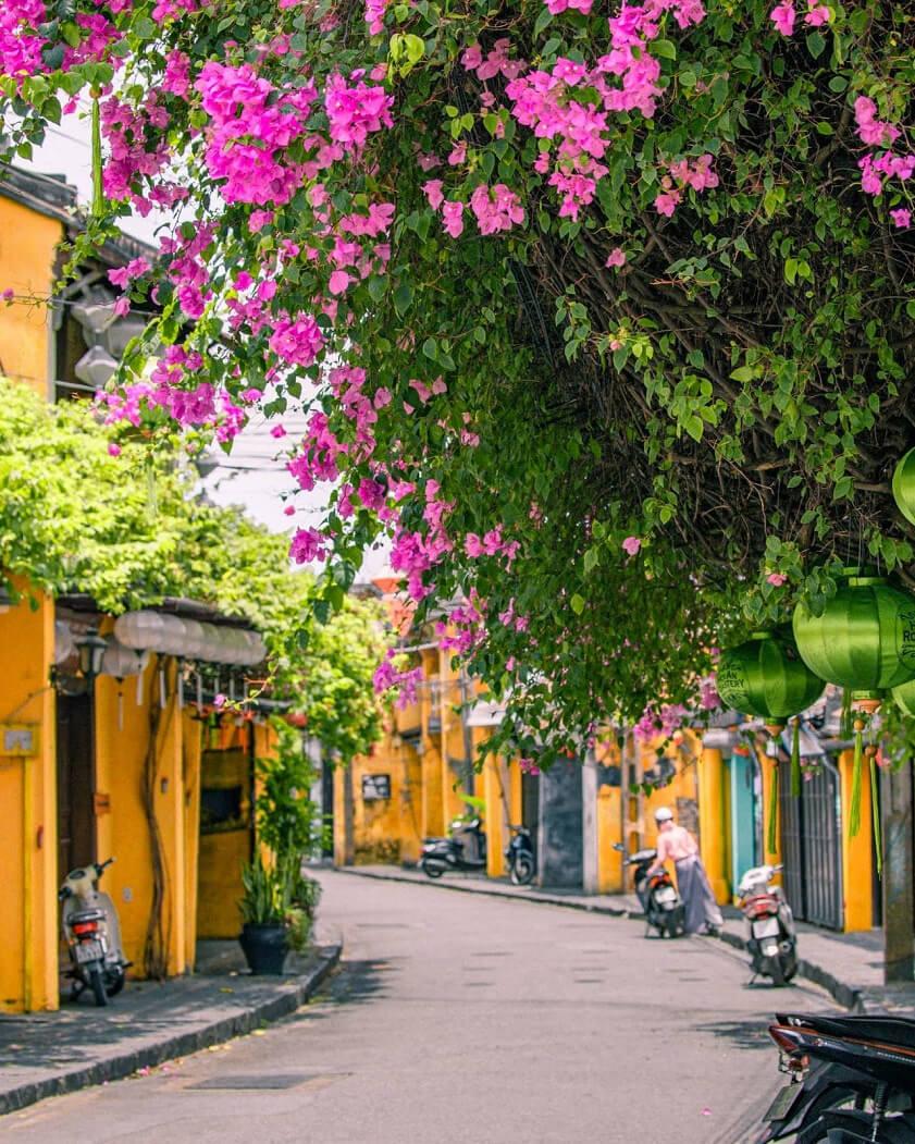 Cam Thanh Coconut Forest – Hoi An Ancient Town Half Day Group tour
